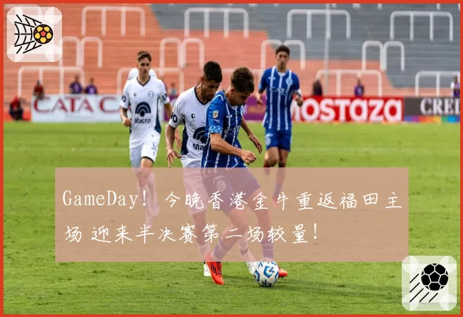 GameDay！今晚香港金牛重返福田主场 迎来半决赛第二场较量！