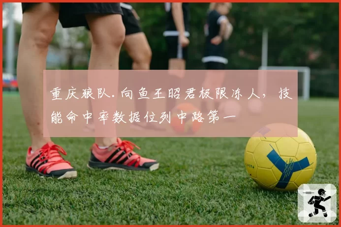 重庆狼队.向鱼王昭君极限冻人，技能命中率数据位列中路第一